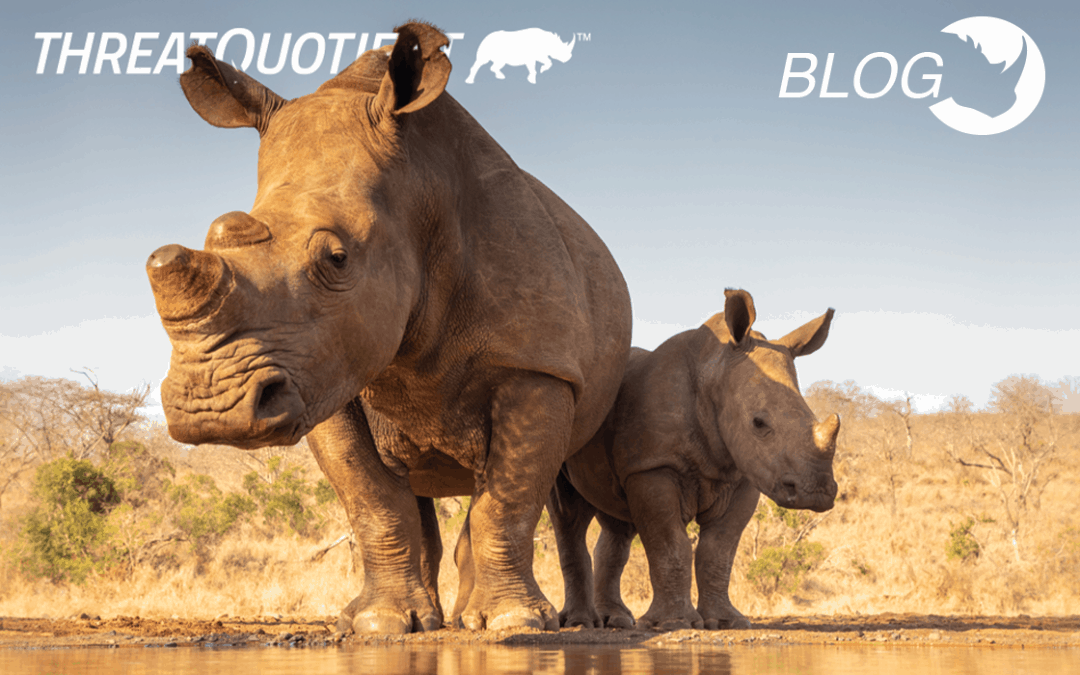 Help us Celebrate World Rhino Day