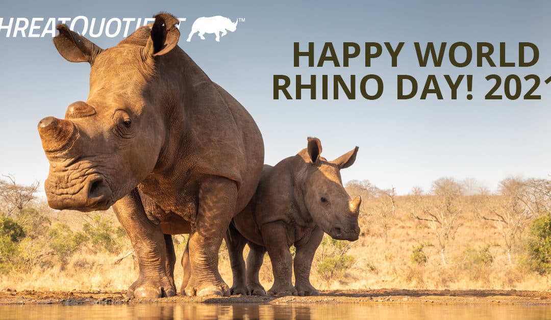 ThreatQuotient Continues Tradition of Celebrating World Rhino Day in 2021