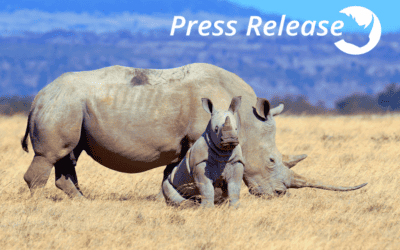 ThreatQuotient Recognizes World Rhino Day 2023